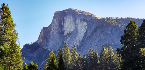 Half Dome from the valley